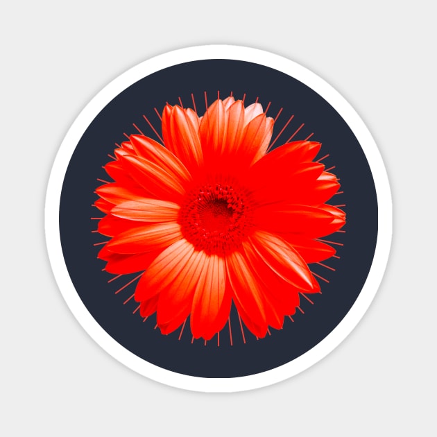 Flower Chakra Red Magnet by emma17